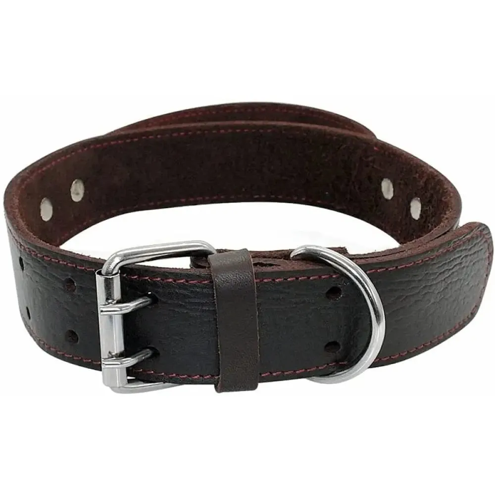 Durable Heavy Duty Leather Control Collar for Medium, Large Dogs