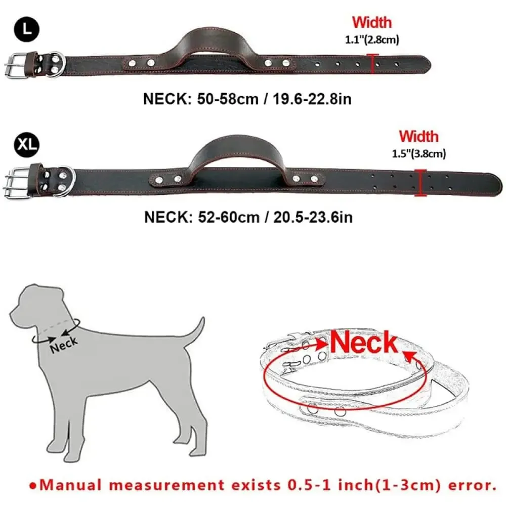 Durable Heavy Duty Leather Control Collar for Medium, Large Dogs