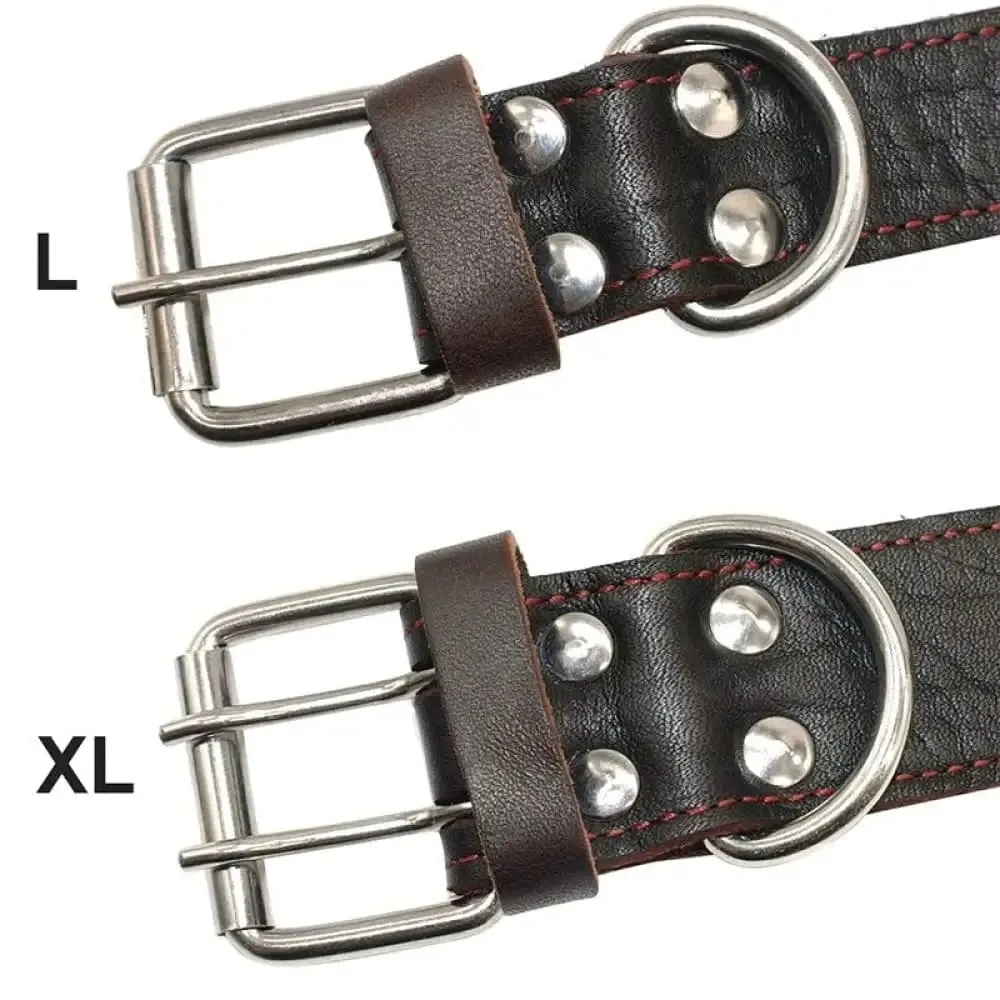Durable Heavy Duty Leather Control Collar for Medium, Large Dogs