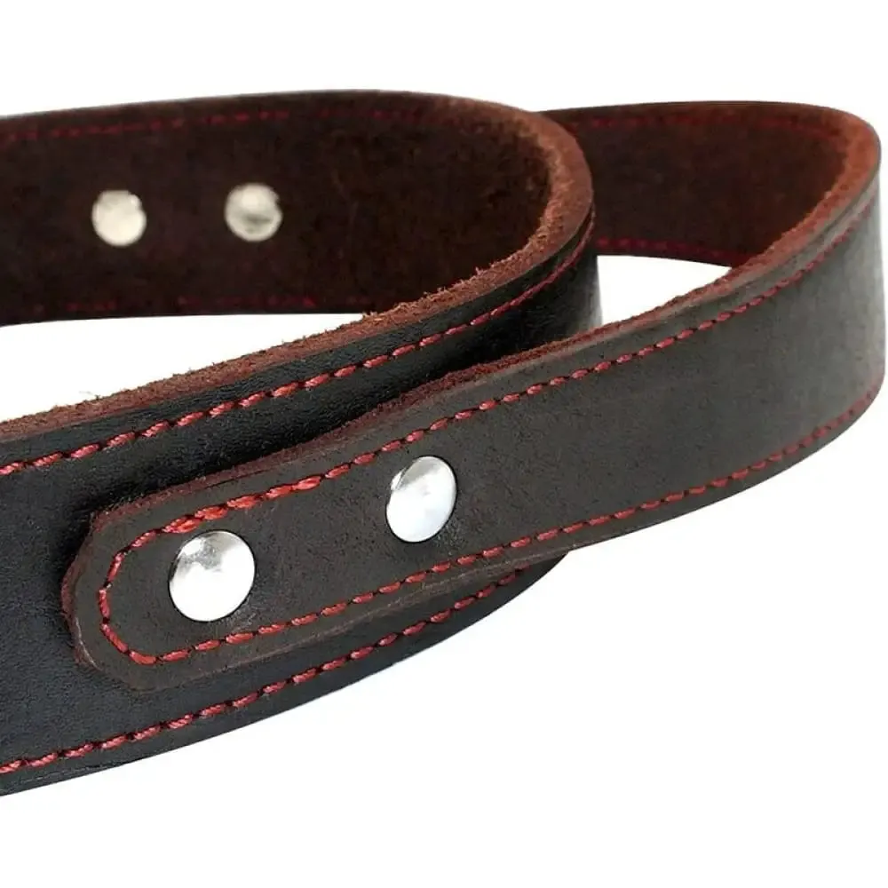 Durable Heavy Duty Leather Control Collar for Medium, Large Dogs